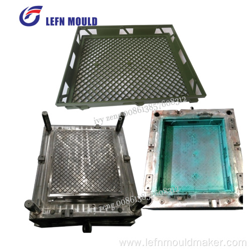 Customized plastic Mango crate injection mould heavy